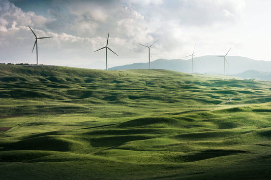 Our Commitment to Sustainable Printing